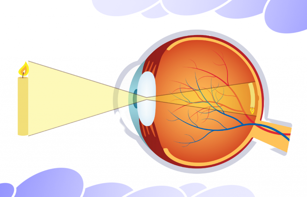 Ruangan dengan pencahayaan alami yang baik untuk kenyamanan visual